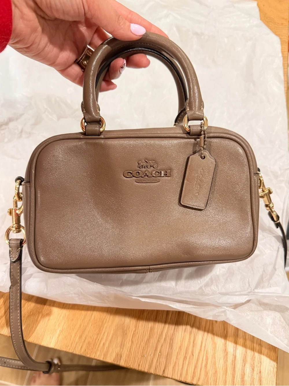 COACH Brown Leather Mini Satchel Crossbody with Gold-Tone Hardware